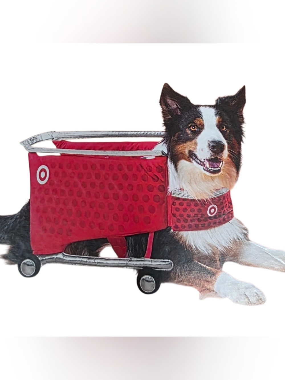 New Boots & Barkley Dog Target Costume Red & Silver Large NWT